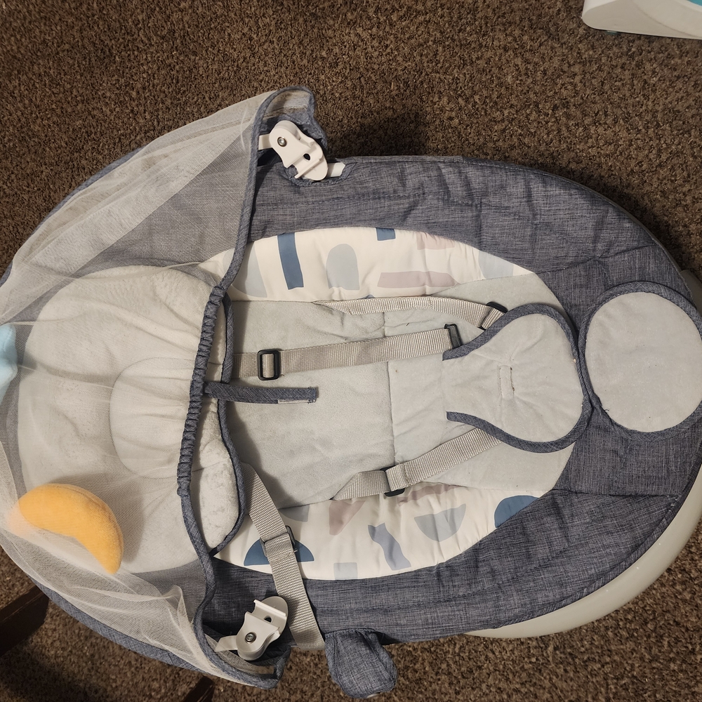 Cozy Infant Bouncer with Canopy